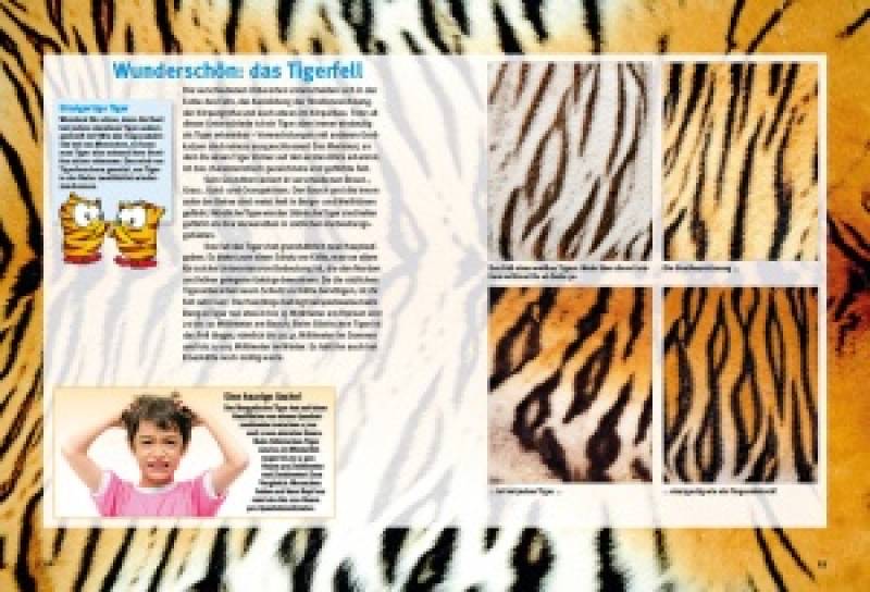 Preview: Entdecke die Tiger